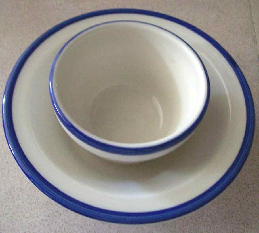 Blue Line Dinner Plate by Homer Laughlin -1