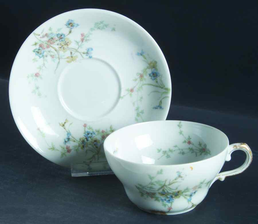Schleiger 1018c Flat Cup & Saucer Set by Haviland-1
