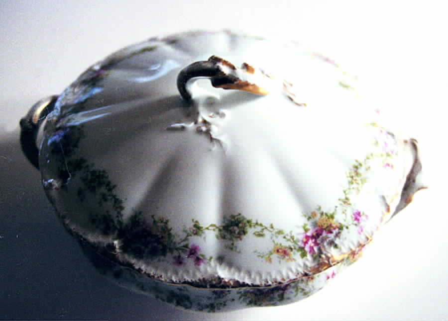 Schleiger 1058-2 Round Covered Vegetable by Haviland-1