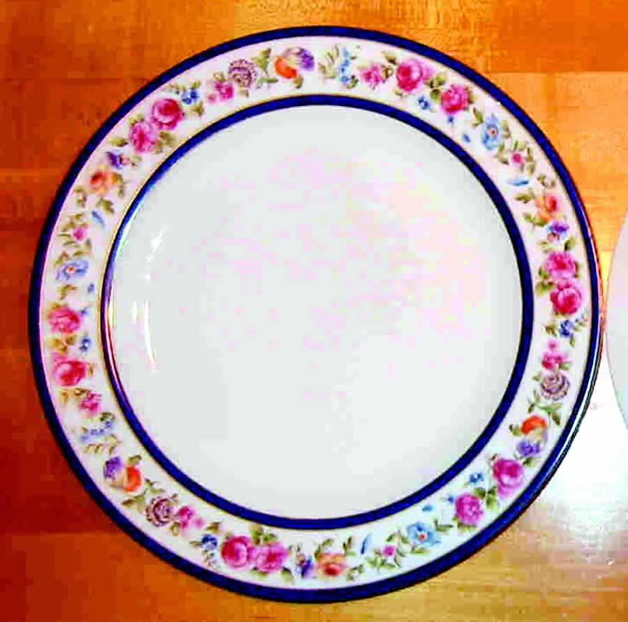 HUT901 Dinner Plate by Hutschenreuther-1