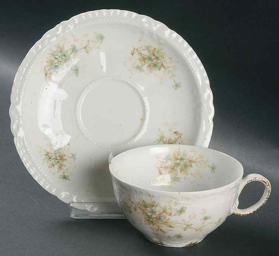 Schleiger 1021a Flat Cup & Saucer Set by Haviland-1