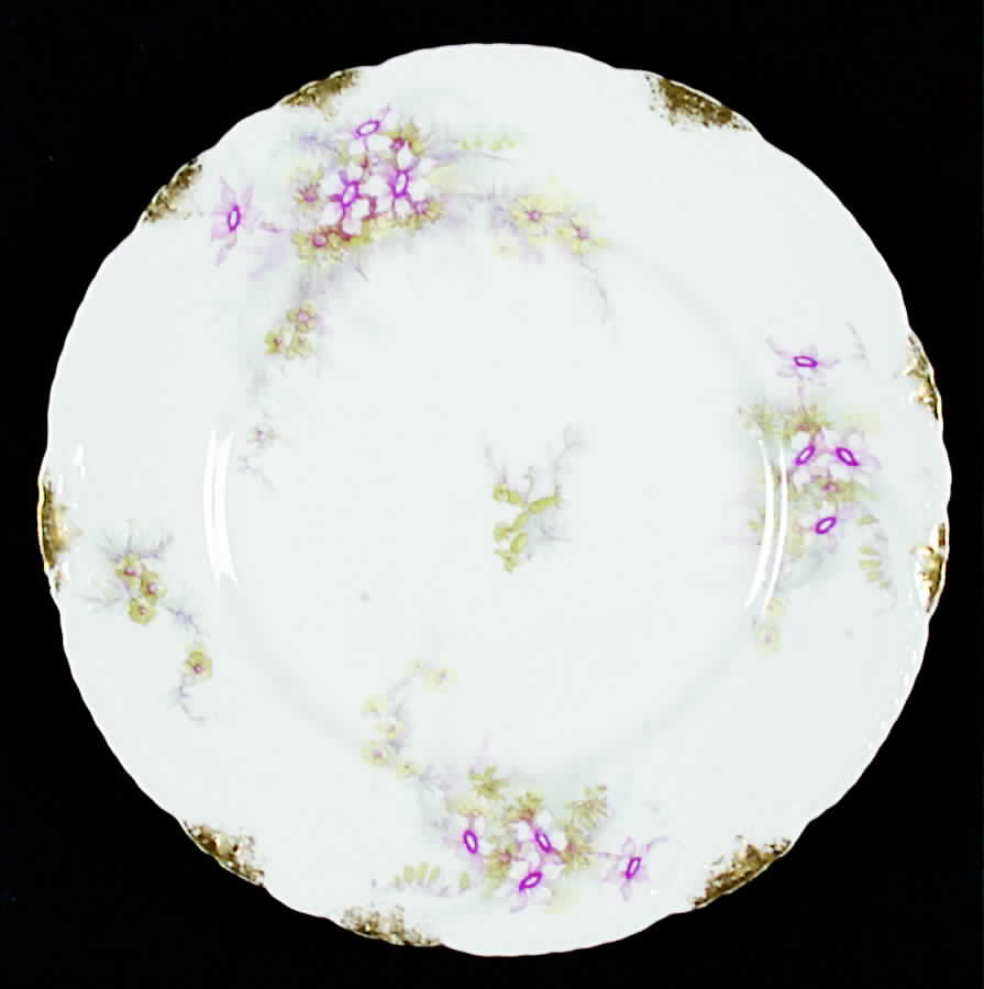Schleiger 1027d Salad Plate by Haviland-1