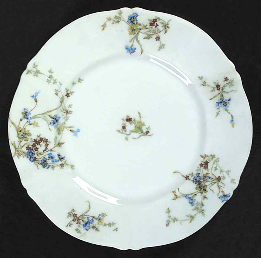 Schleiger 1031 Salad Plate by Haviland-1