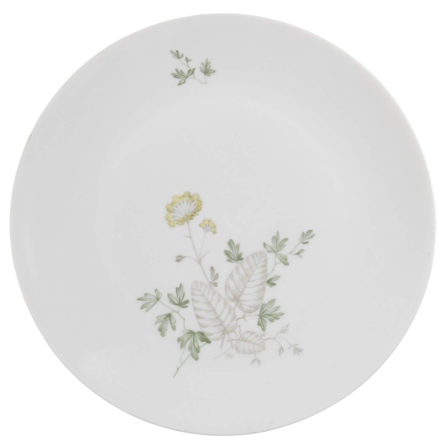 HUT905 Dinner Plate by Hutschenreuther-1
