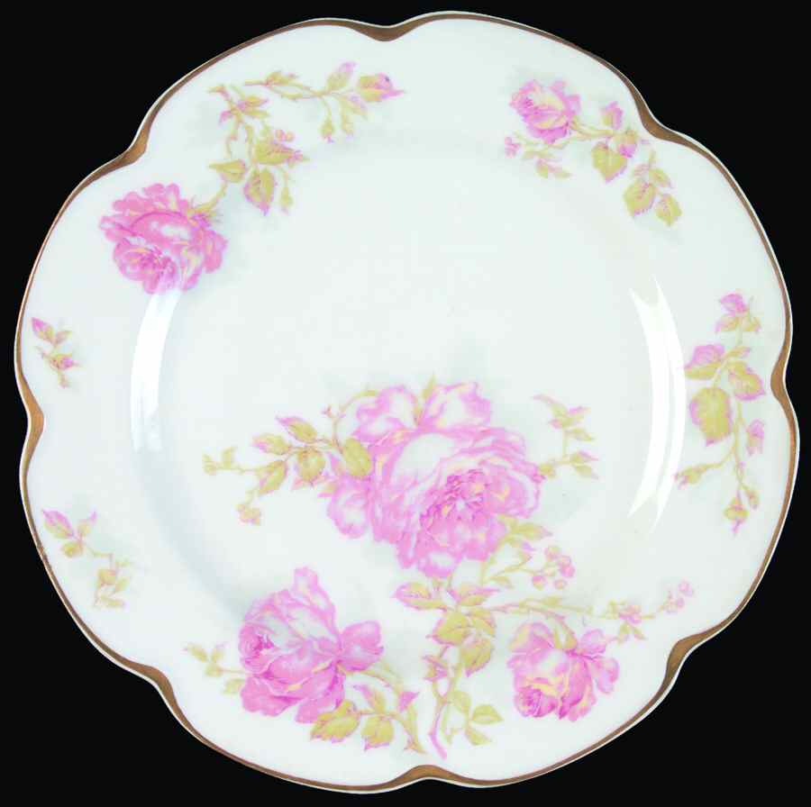 Schleiger 1134 Luncheon Plate by Haviland-1