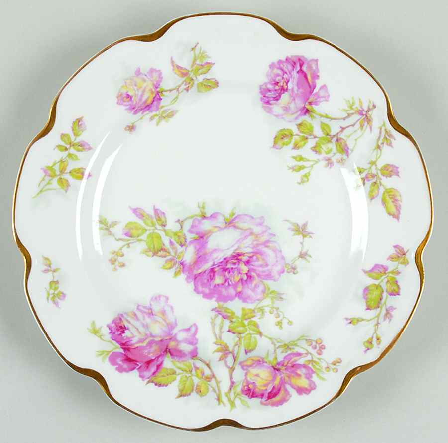 Schleiger 1134 Dinner Plate by Haviland-1