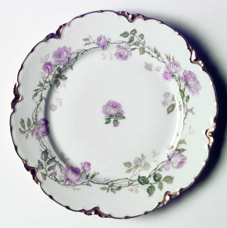Schleiger 1136 Dinner Plate by Haviland-1
