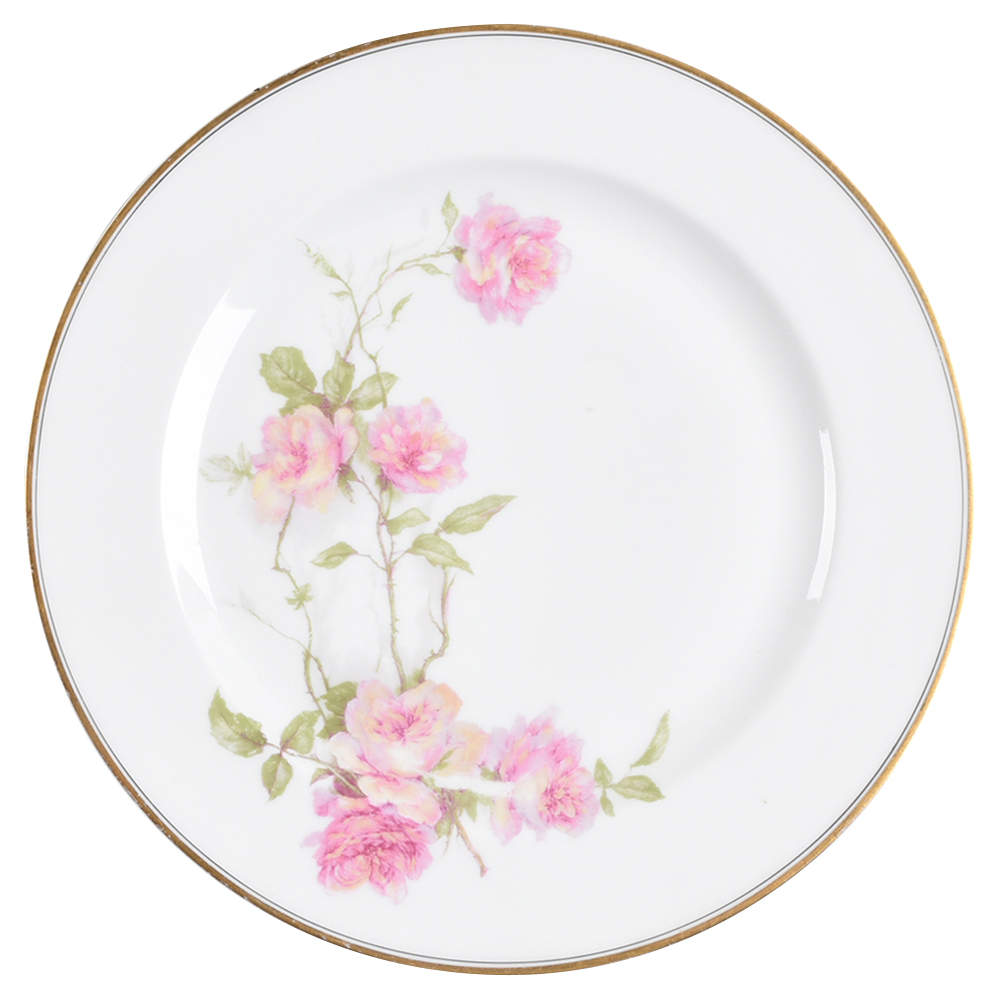 Schleiger 1151M Dinner Plate by Haviland-1