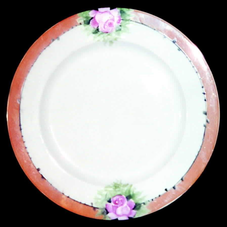 HUT913 Dinner Plate by Hutschenreuther-1
