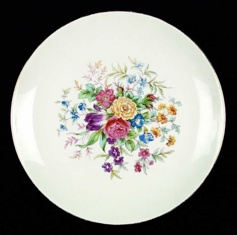 HLC2048 Dinner Plate by Homer Laughlin -1