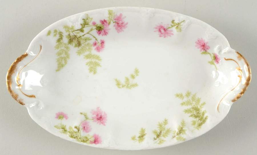 Schleiger 1235 Relish by Haviland-1