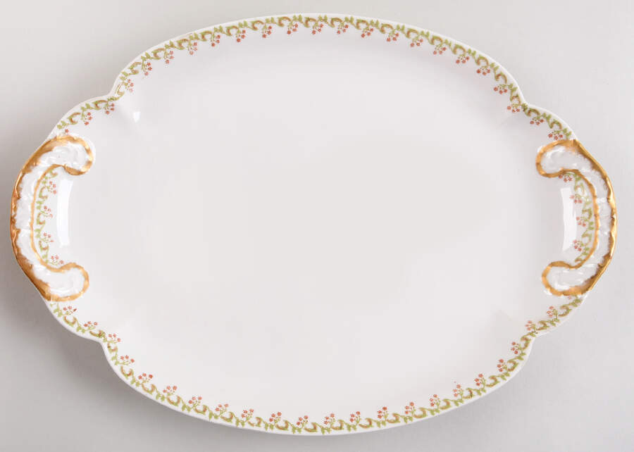 H1450 16" Oval Serving Platter by Haviland-1