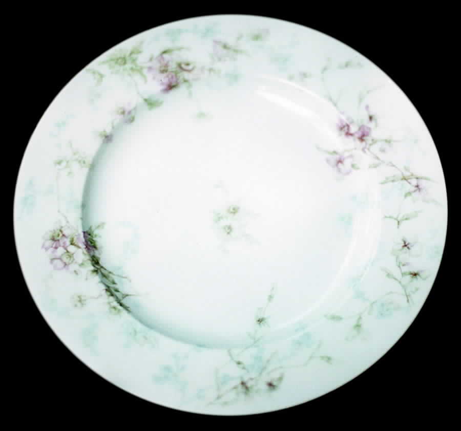 H1452 Dinner Plate by Haviland-1