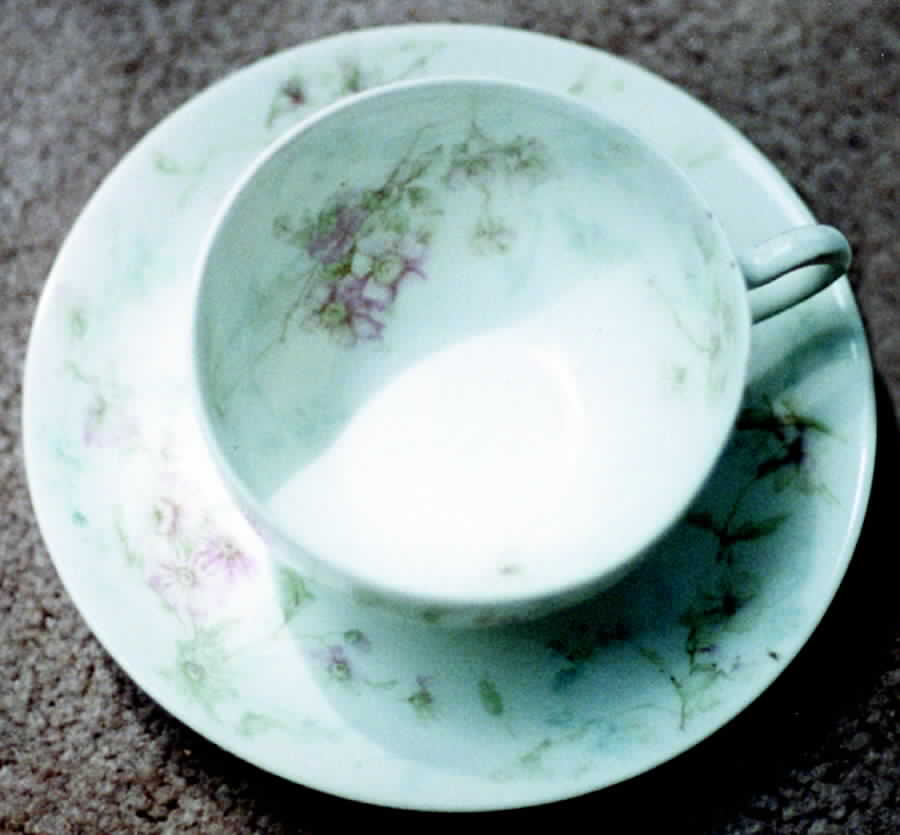 H1452 Flat Cup & Saucer Set by Haviland-1