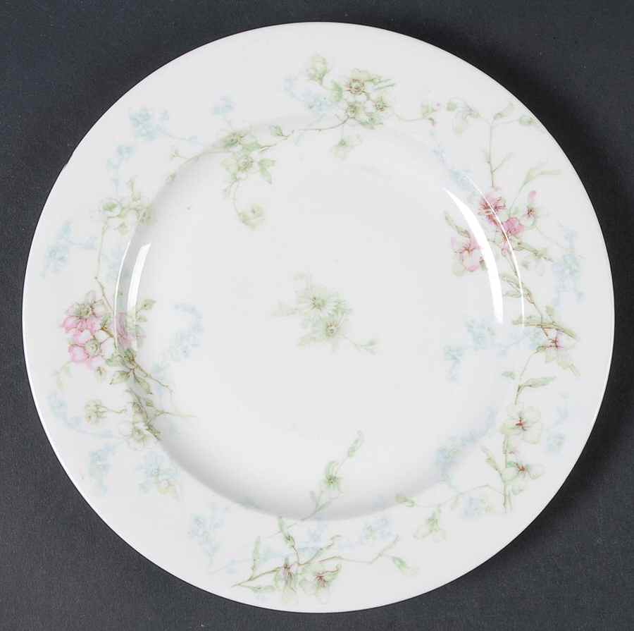 H1452 Salad Plate by Haviland-1