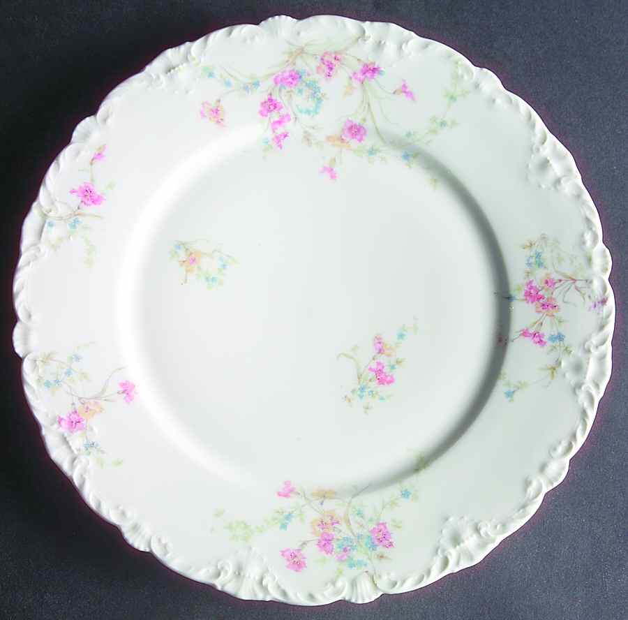 Schleiger 1018-2 Dinner Plate by Haviland-1