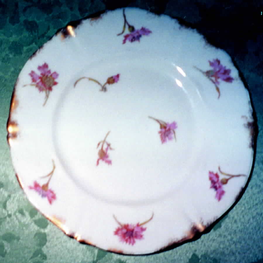 Schleiger 1029-3 Salad Plate by Haviland-1