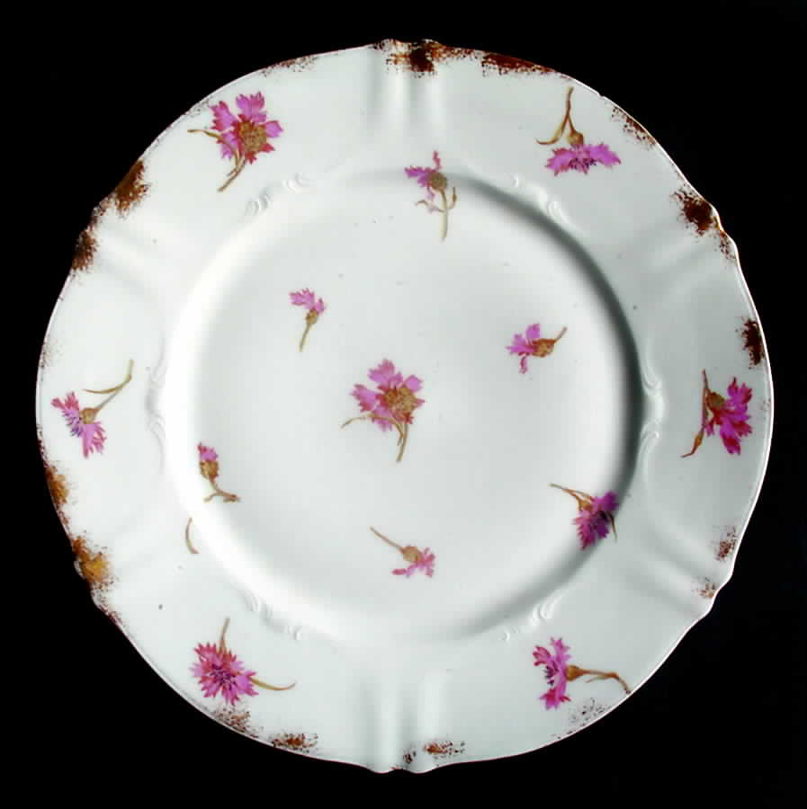 Schleiger 1029-3 Dinner Plate by Haviland-1