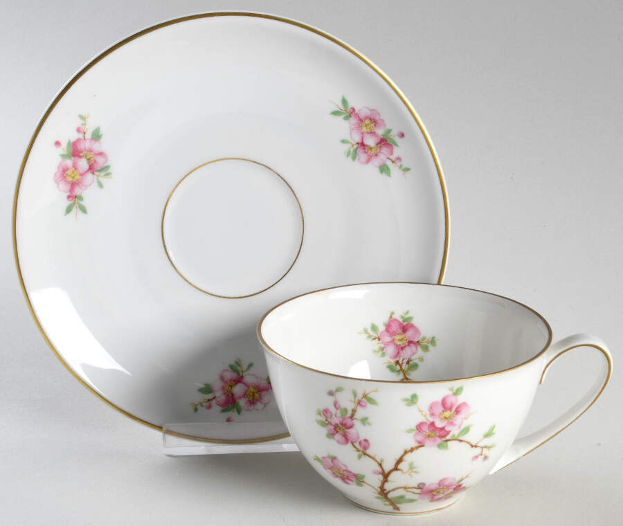Cherry Blossom Flat Cup & Saucer Set by Hutschenreuther-1