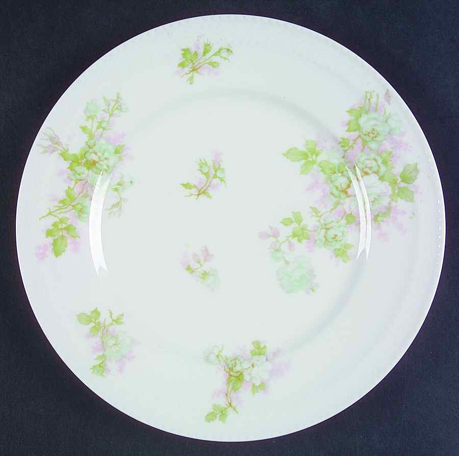 Schleiger 30n Salad Plate by Haviland-1