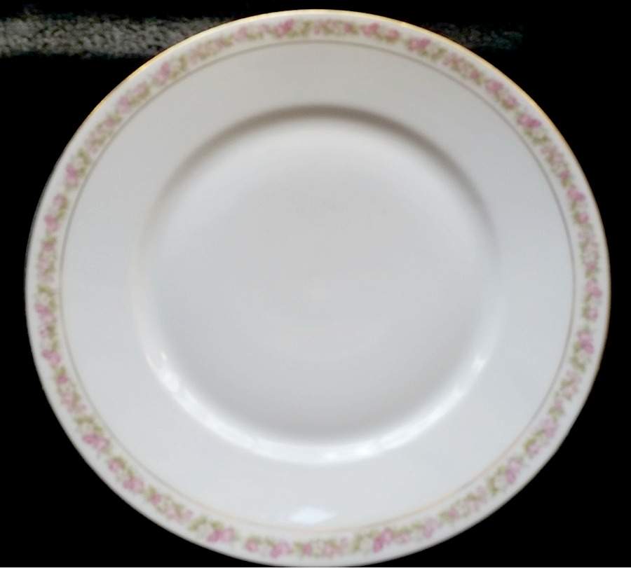 HUT921 Dinner Plate by Hutschenreuther-1