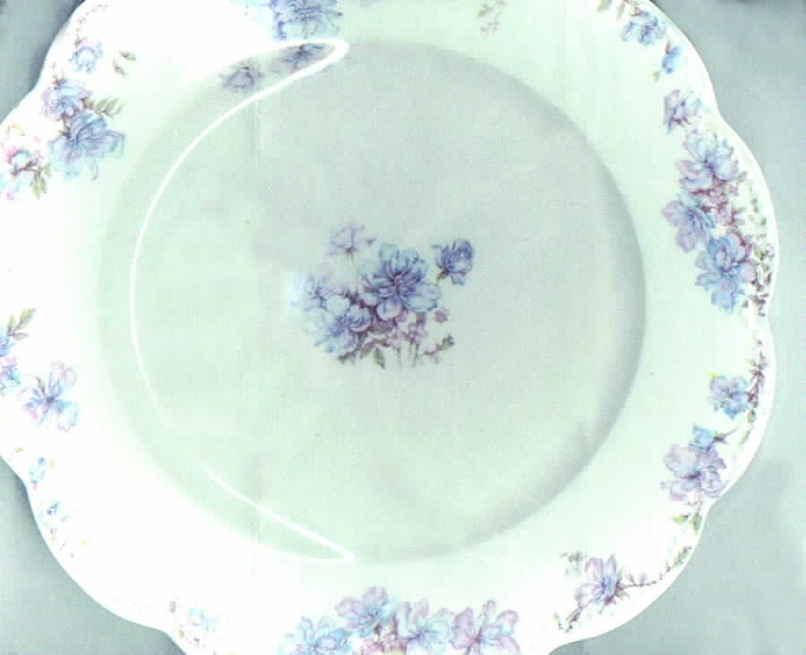 Schleiger 69e Dinner Plate by Haviland-1
