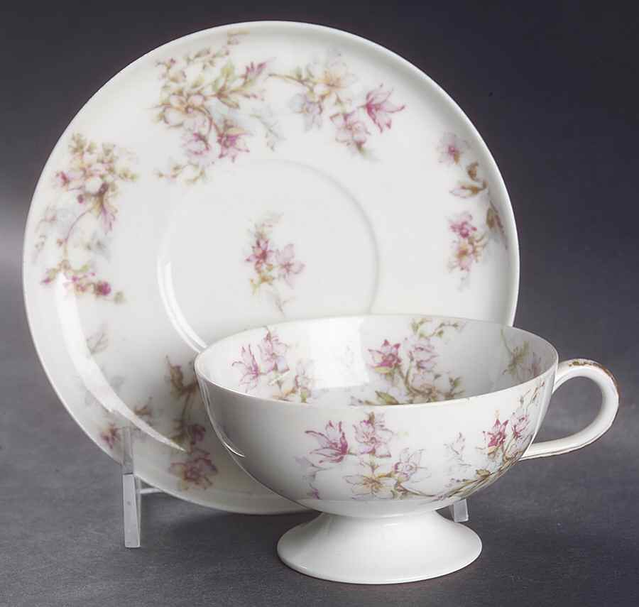 Schleiger 91o Footed Cup & Saucer Set by Haviland-1
