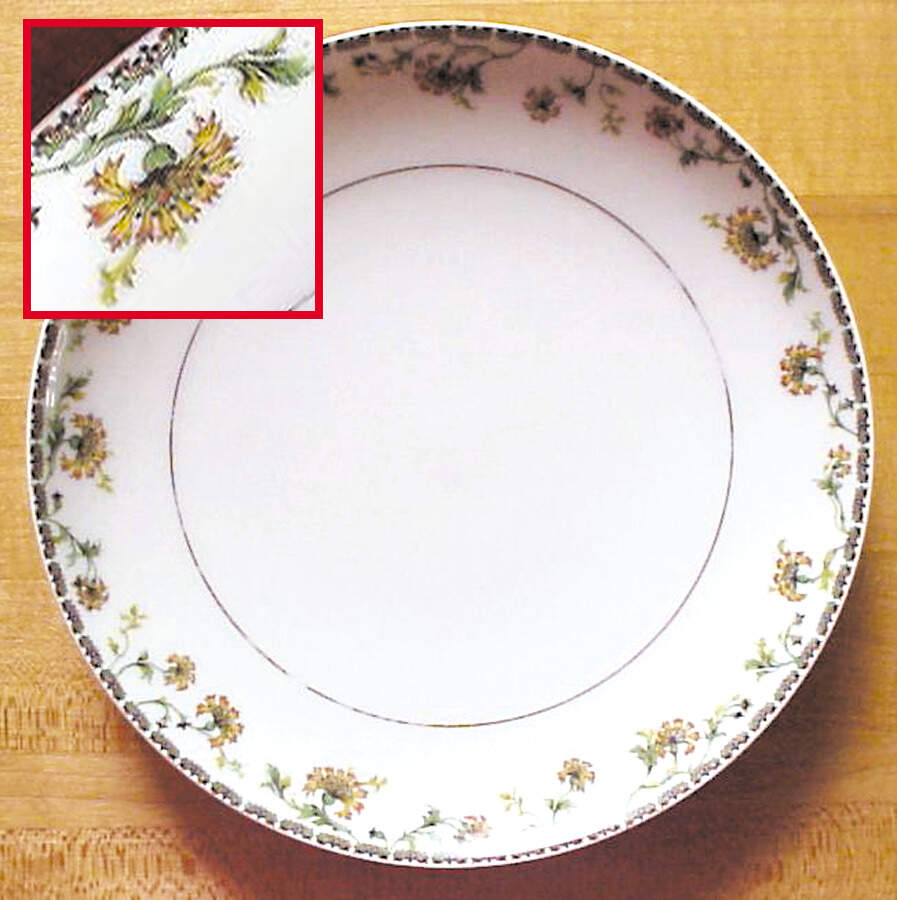 Schleiger 105-2 Salad Plate by Haviland-1