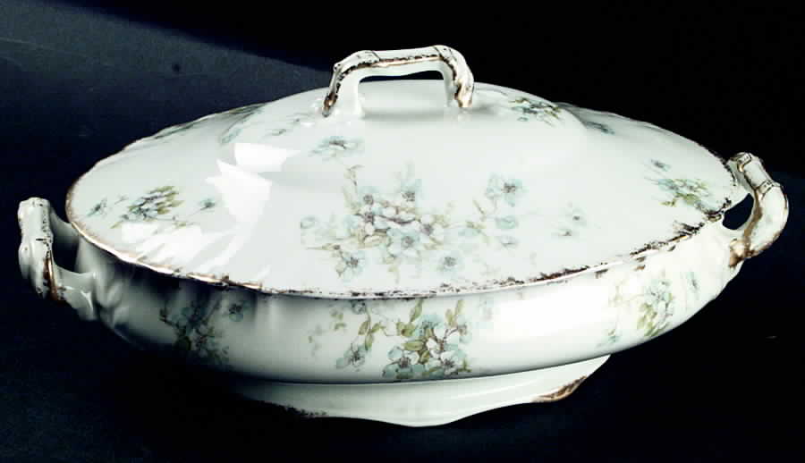 Schleiger 162-3 Oval Covered Vegetable by Haviland-1