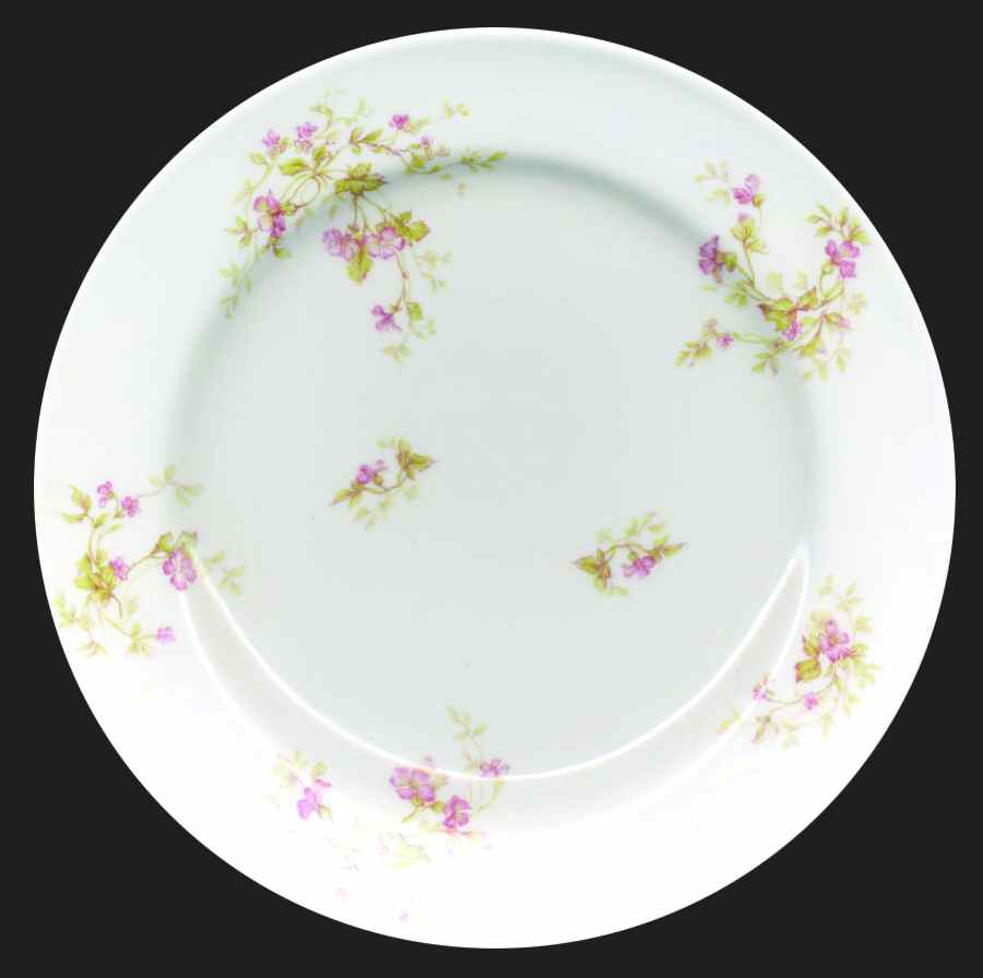 23787 Salad Plate by Haviland-1
