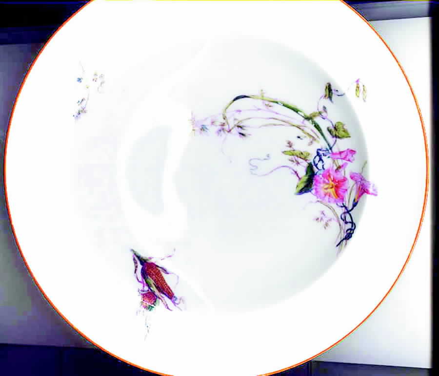 H1483 Large Rim Soup Bowl by Haviland-1