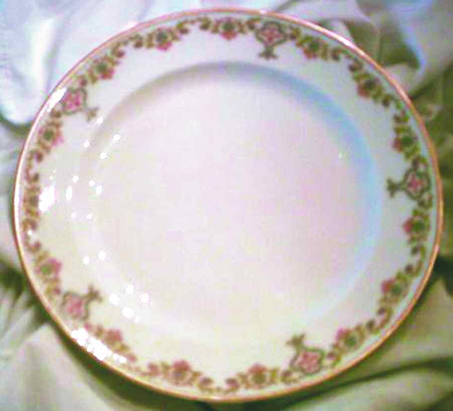 Schleiger 561b Dinner Plate by Haviland-1