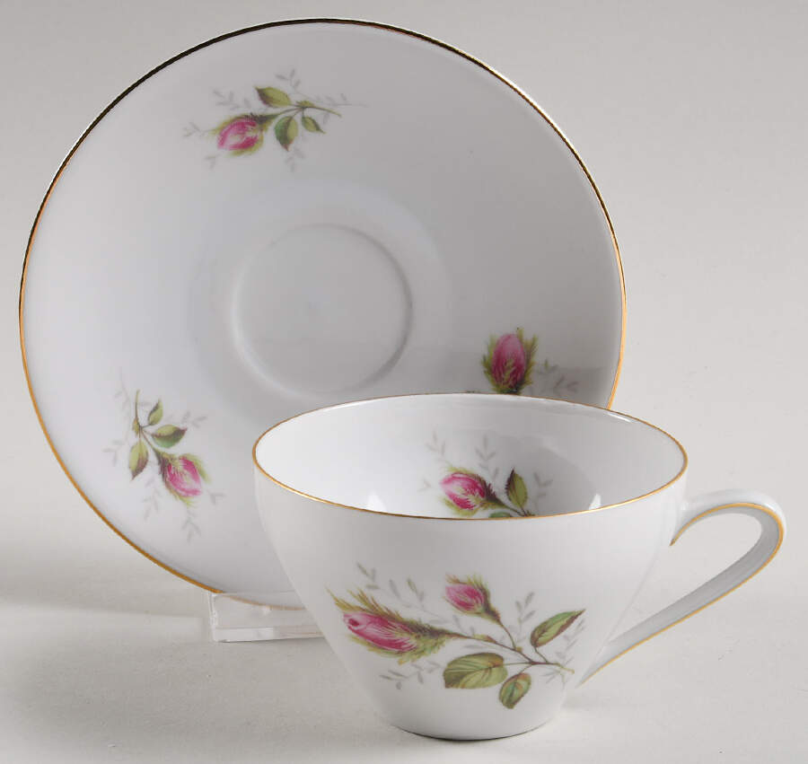 Moss Rose (Smooth) Flat Cup & Saucer Set by Hutschenreuther-1