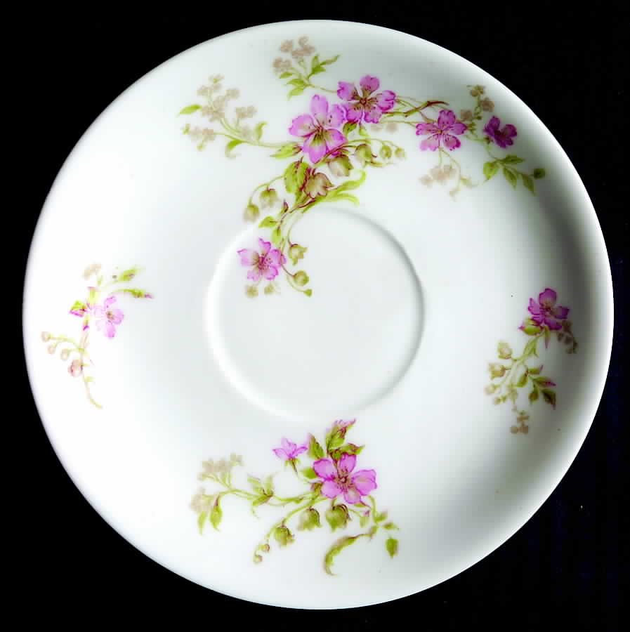 Schleiger 661c Saucer by Haviland-1
