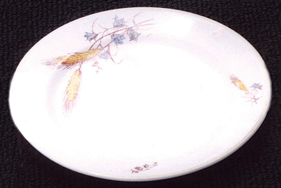 HLC2062 11" Oval Serving Platter by Homer Laughlin -1