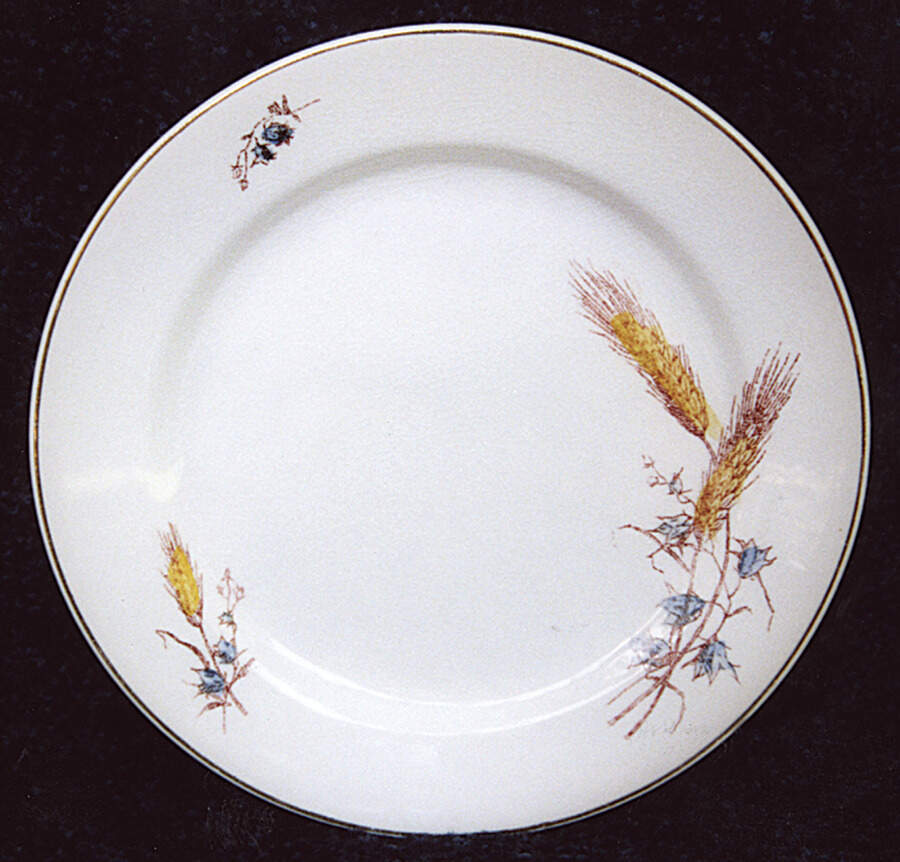 HLC2062 Dinner Plate by Homer Laughlin -1