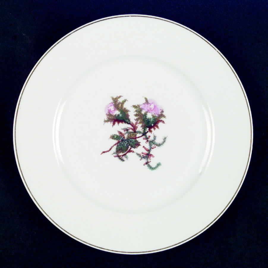 Moss Rose (Gold Trim, No Verge) Dinner Plate by Haviland-1