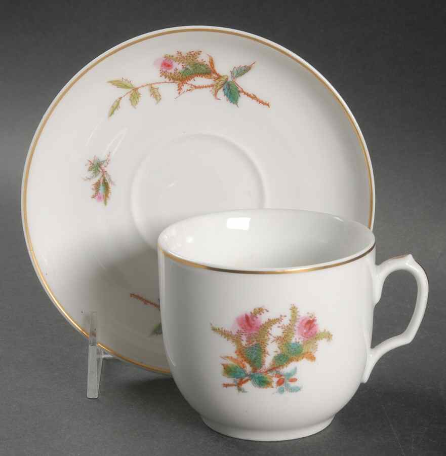 Moss Rose (Gold Trim, No Verge) Flat Cup & Saucer Set by Haviland-1