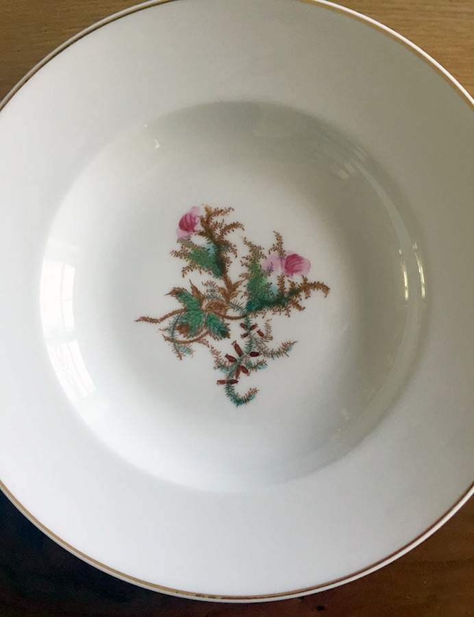 Moss Rose (Gold Trim, No Verge) Large Rim Soup Bowl by Haviland-1