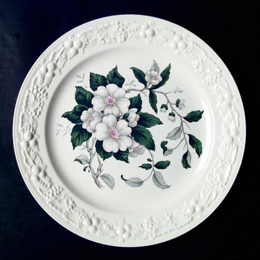 HLC2064 Dinner Plate by Homer Laughlin -1