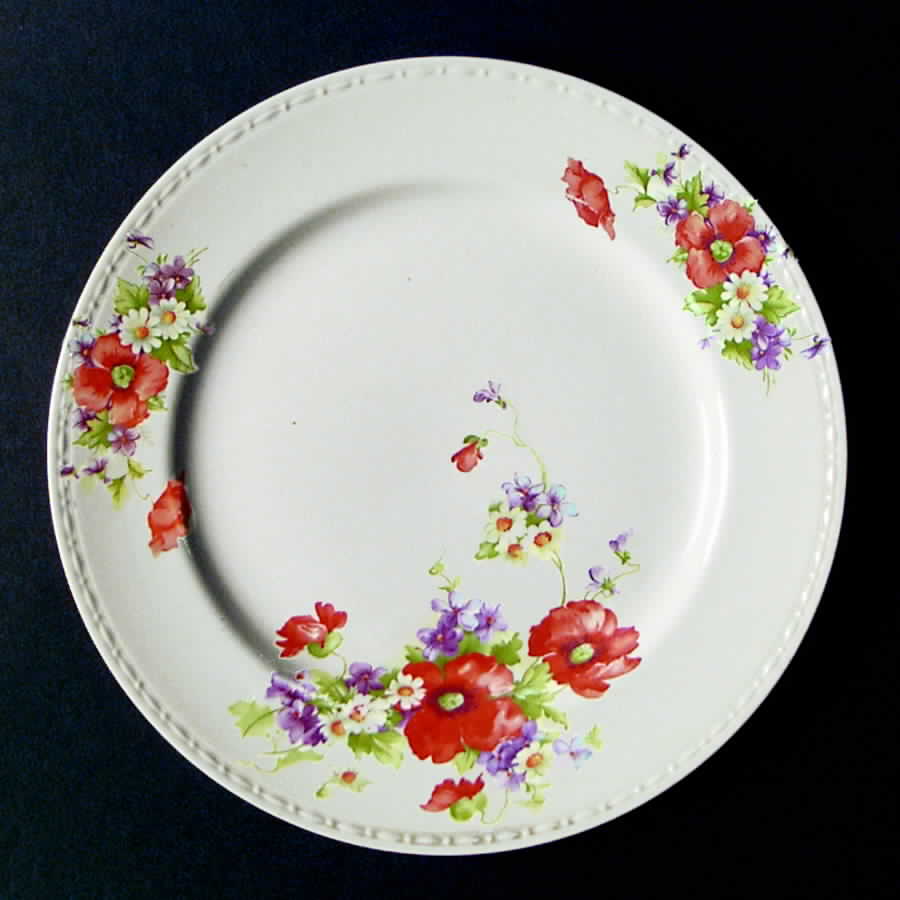 HLC2066 Dinner Plate by Homer Laughlin -1