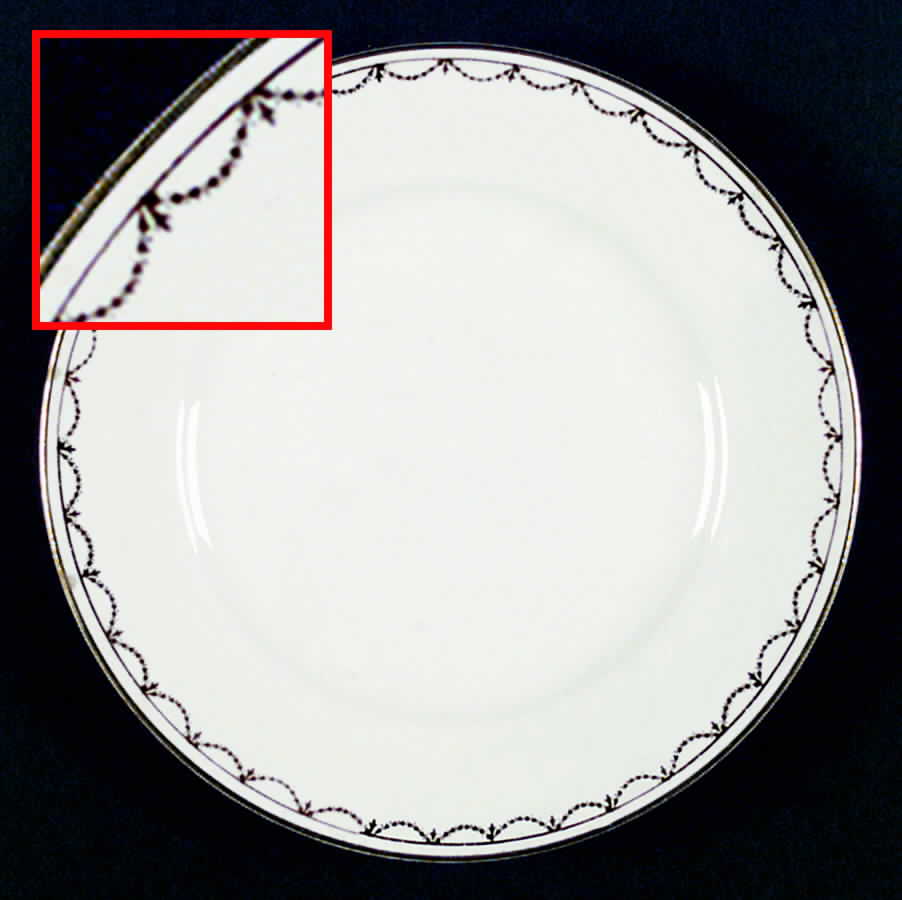 HLC2069 Dinner Plate by Homer Laughlin -1