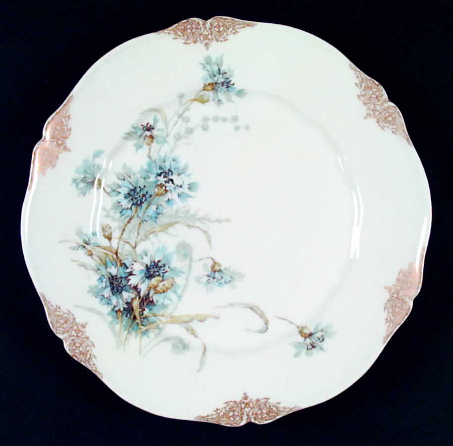 H1508 Dinner Plate by Haviland-1