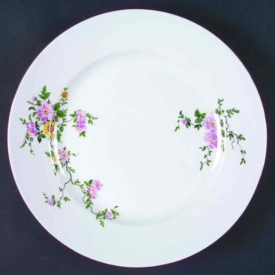 HEP31 Dinner Plate by Graf Von Henneberg-1