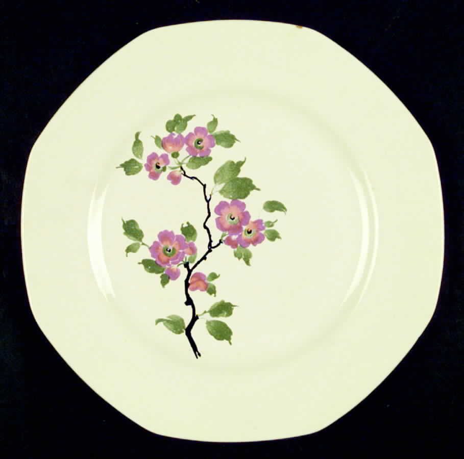 HLC2085 Dinner Plate by Homer Laughlin -1