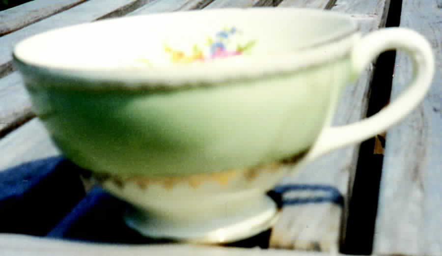 HLC2090 Footed Cup by Homer Laughlin -1