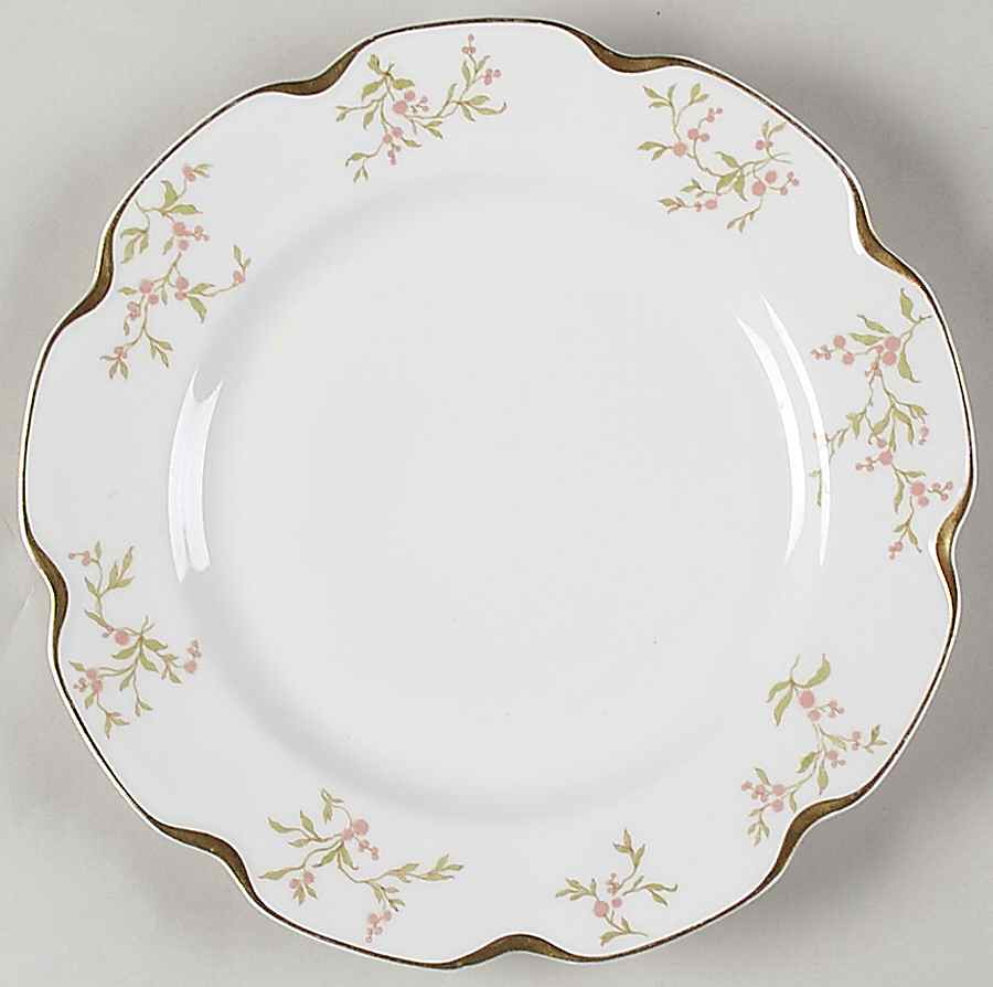 30673 Dinner Plate by Haviland-1