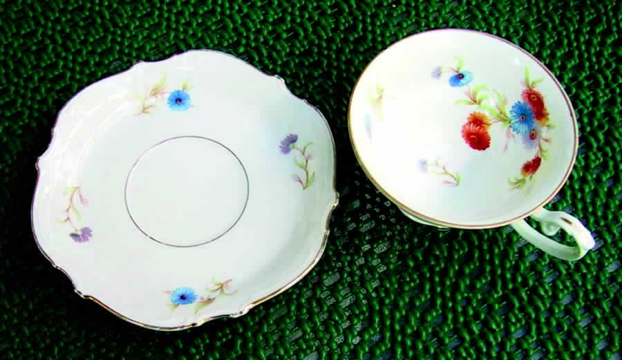 HUT937 Footed Cup & Saucer Set by Hutschenreuther-1