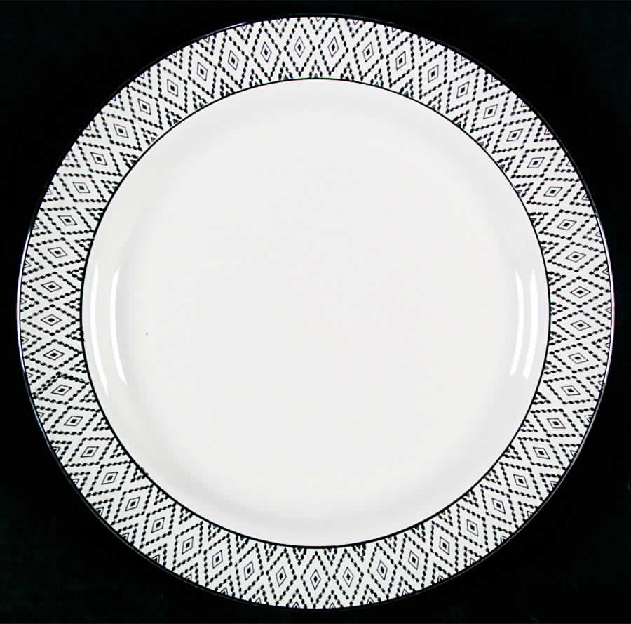 N216 Dinner Plate by Homer Laughlin -1