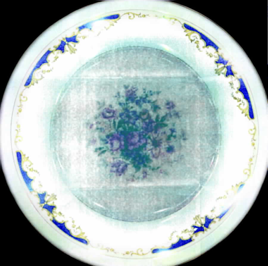 HCZ50 Dinner Plate by Haas-Czjzek Coronado-1